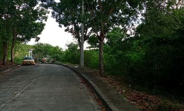 Affordable 131 Sqm Lot for Sale in Greenville Heights Consolacion Cebu