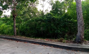 Affordable 131 Sqm Lot for Sale in Greenville Heights Consolacion Cebu