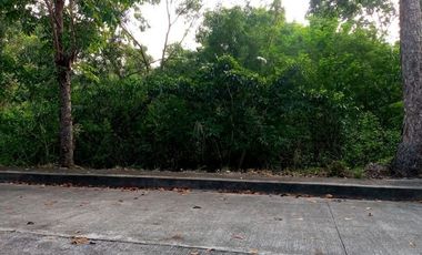 Affordable 131 Sqm Lot for Sale in Greenville Heights Consolacion Cebu