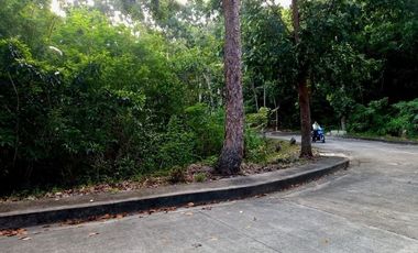 Affordable 131 Sqm Lot for Sale in Greenville Heights Consolacion Cebu