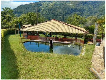 FINCA  CON  4 CASAS PARA LA VENTA EN GENOVA QUINDO COLOMBIA