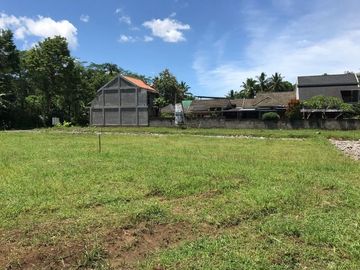 INVESTASI MENGUNTUNGKAN DI DEKAT CANDI BOROBUDUR BERKONSEP KLASIK HARGA PAS DI KANTONG