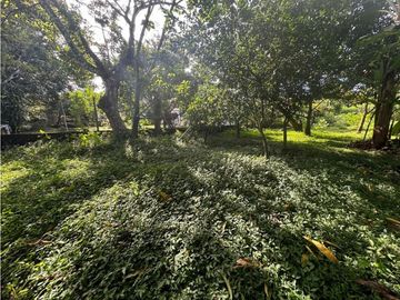 Venta de terreno con dos casas en Vía Panamericana, David Chiriquí