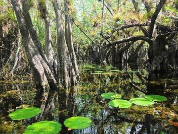 VENTA FINCA AIRB&B CASA SOLFERINO LÁZARO CÁRDENAS QUINTANA ROO