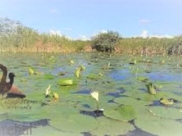 VENTA FINCA AIRB&B CASA SOLFERINO LÁZARO CÁRDENAS QUINTANA ROO