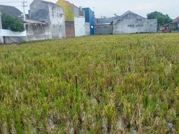 TANAH DIJUAL DEKAT SPBU BASUKIRAHMAT JEMBER
