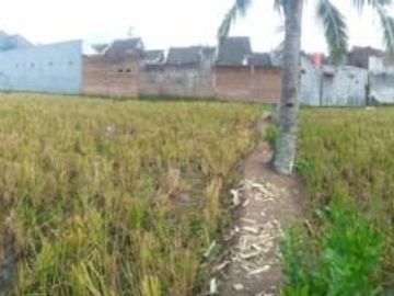 TANAH DIJUAL DEKAT SPBU BASUKIRAHMAT JEMBER