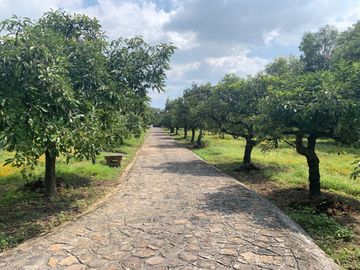 Rancho en venta en Xochitlán Morelos