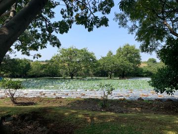 Rancho en venta en Xochitlán Morelos