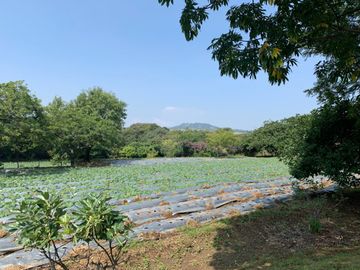Rancho en venta en Xochitlán Morelos