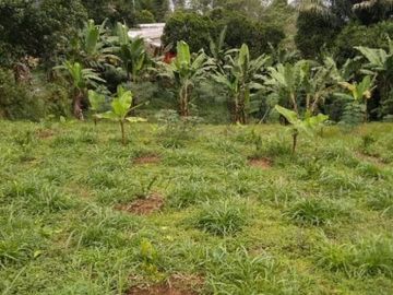 BU CEPAT tanah luas dekat wisma shalom cisarua bandung barat