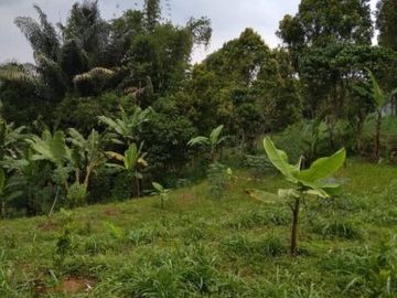 BU CEPAT tanah luas dekat wisma shalom cisarua bandung barat