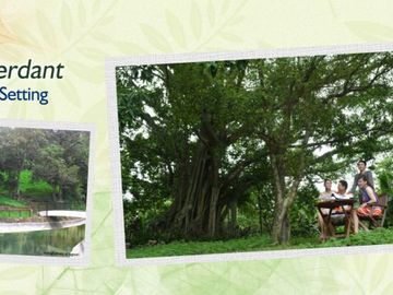 Forest Farms At Havila in Angono Rizal