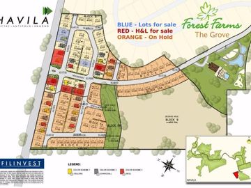 Forest Farms At Havila in Angono Rizal