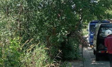 163 Sqm Sacrifice Sale Sloping Lot for Sale in El Monte Verde Consolacion Cebu