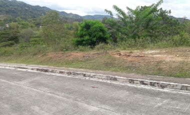 204 Sqm Lot for Sale in Pulangbato Cebu City near Talamban