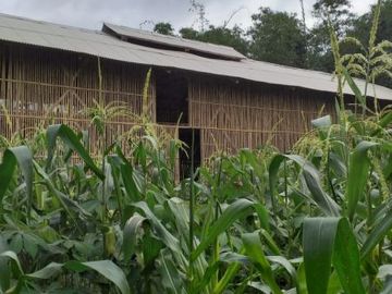 JUAL DIBAWAH HARGA PASAR 1600m Strategis Ada Kandang Ayam Sukabumi