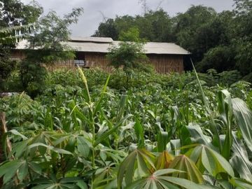 JUAL DIBAWAH HARGA PASAR 1600m Strategis Ada Kandang Ayam Sukabumi