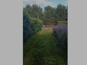 VENDO CASA DE CORTE CAMPESTRE