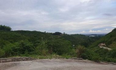 208 SQM Overlooking Lot for Sale in Vista Verde Consolacion Cebu near the Main Entrance