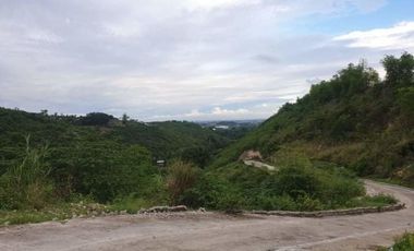 208 SQM Overlooking Lot for Sale in Vista Verde Consolacion Cebu near the Main Entrance