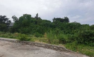 208 SQM Overlooking Lot for Sale in Vista Verde Consolacion Cebu near the Main Entrance