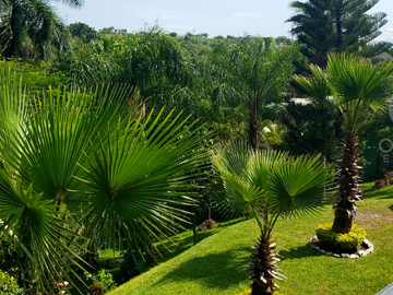 Venta Casa en Club de Golf Sante Fe Morelos