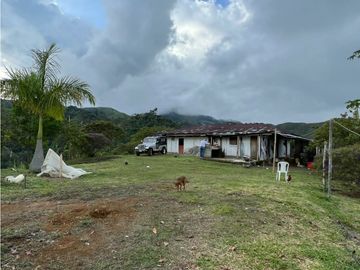 VENTA DE FINCA EN VEREDA PARAMILLO,FRESNO TOLIMA