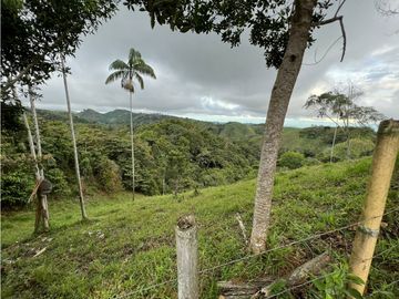VENTA DE FINCA EN VEREDA PARAMILLO,FRESNO TOLIMA