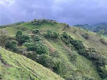 VENTA DE FINCA EN VEREDA PARAMILLO,FRESNO TOLIMA