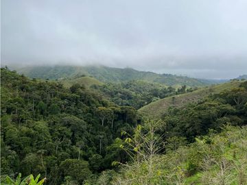 VENTA DE FINCA EN VEREDA PARAMILLO,FRESNO TOLIMA