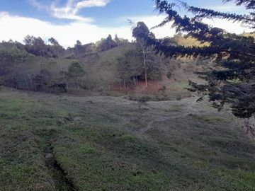 Venta Finca Agropecuaria Concepción Antioquia