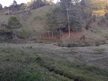 Venta Finca Agropecuaria Concepción Antioquia