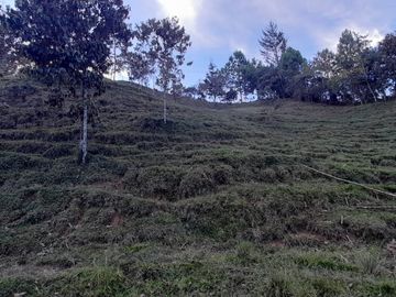 Venta Finca Agropecuaria Concepción Antioquia