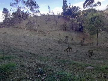 Venta Finca Agropecuaria Concepción Antioquia