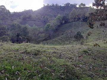 Venta Finca Agropecuaria Concepción Antioquia