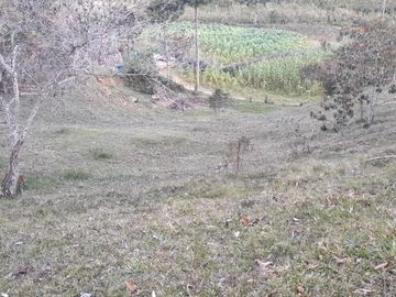Venta Finca Agropecuaria Concepción Antioquia