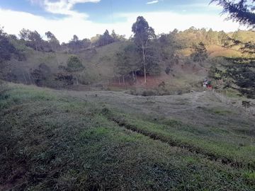 Venta Finca Agropecuaria Concepción Antioquia