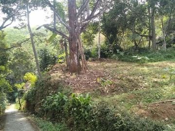 Tanah ngargoyoso 1400m 275jt