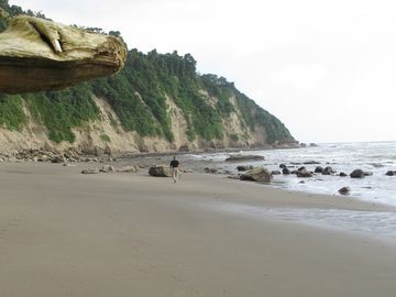 Se Vende Terreno para Desarrollar Frente al Mar en Caimito ~ Esmeraldas