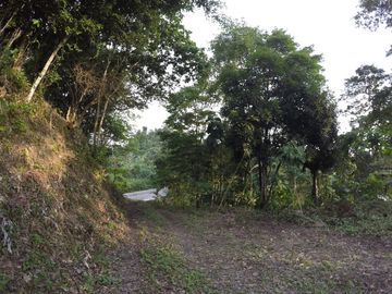Se Vende Terreno para Desarrollar Frente al Mar en Caimito ~ Esmeraldas