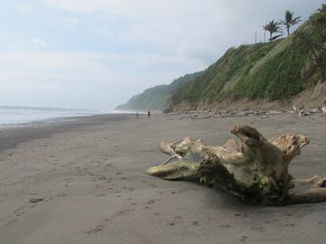 Se Vende Terreno para Desarrollar Frente al Mar en Caimito ~ Esmeraldas