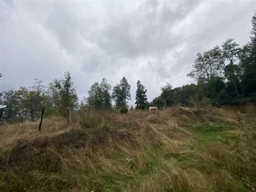 Parcela en Venta en Sector Renahue lago Caburga