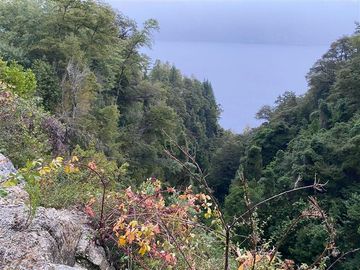Parcela en Venta en Sector Renahue lago Caburga