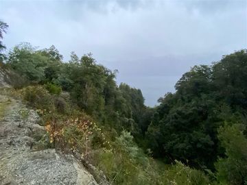 Parcela en Venta en Sector Renahue lago Caburga