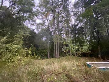 Parcela en Venta en Sector Renahue lago Caburga
