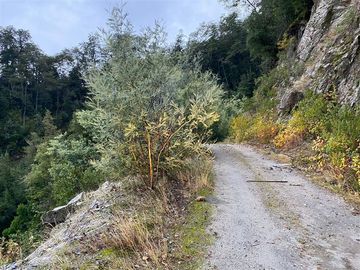 Parcela en Venta en Sector Renahue lago Caburga