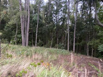 Parcela en Venta en Sector Renahue lago Caburga