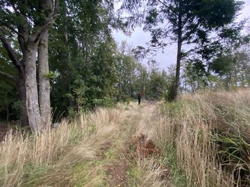 Parcela en Venta en Sector Renahue lago Caburga