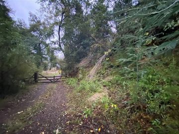 Parcela en Venta en Sector Renahue lago Caburga
